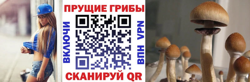 Галлюциногенные грибы Magic Shrooms  Купить  Ишим 